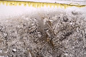 Plane Polarized, E43152