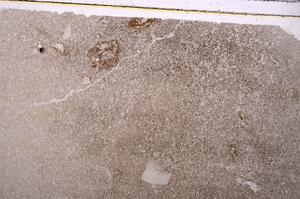 Plane Polarized, E43156