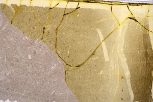 Plane Polarized, E43159