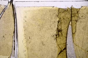 Plane Polarized, E43162