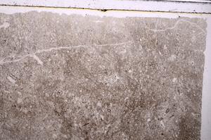 Plane Polarized, E43166