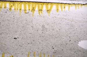 Plane Polarized, E43188