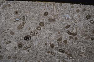 Cross Polarized, E43196