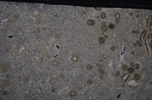 Cross Polarized, E43201