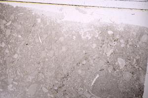 Plane Polarized, E43255