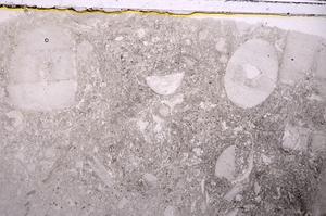 Plane Polarized, E43273