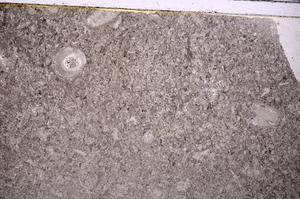 Plane Polarized, E43295