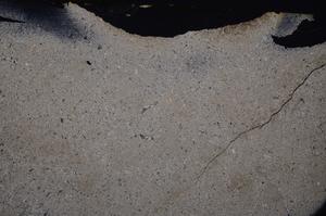 Cross Polarized, E43377