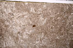 Plane Polarized, E43379