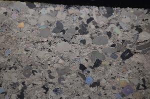 Cross Polarized, E43380