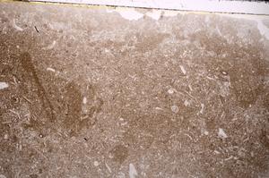 Plane Polarized, E43381