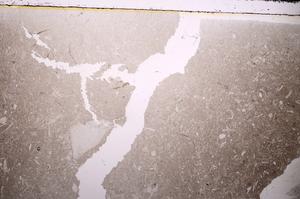 Plane Polarized, E43382