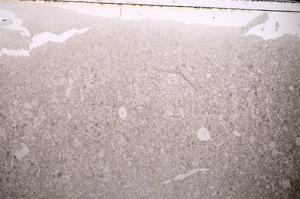 Plane Polarized, E43385