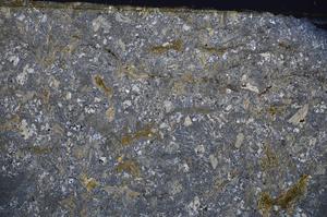 Cross Polarized, E43418