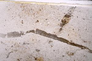 Plane Polarized, E43419