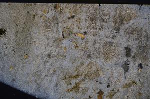 Cross Polarized, E43431