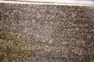 Plane Polarized, E43461