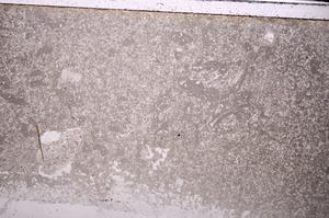 Plane Polarized, E43464