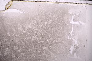 Plane Polarized, E43465