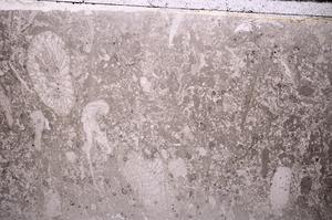 Plane Polarized, E43467