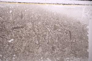 Plane Polarized, E43469