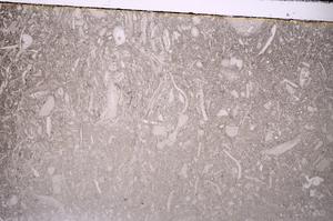 Plane Polarized, E43495
