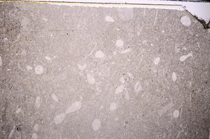 Plane Polarized, E43497