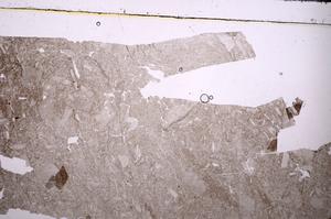 Plane Polarized, E43505