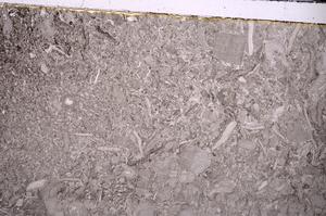 Plane Polarized, E43513/A