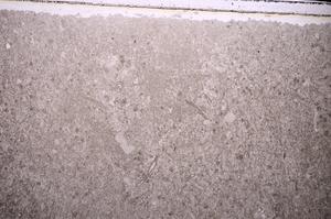 Plane Polarized, E43514