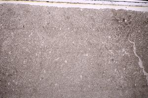 Plane Polarized, E43516