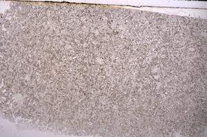 Plane Polarized, E43519