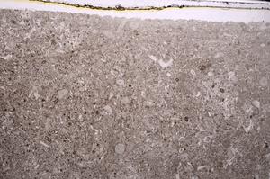 Plane Polarized, E43521
