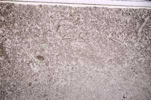 Plane Polarized, E43525