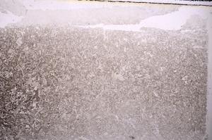 Plane Polarized, E43526