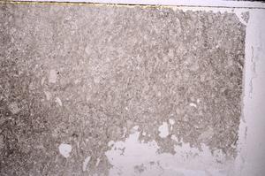 Plane Polarized, E43527