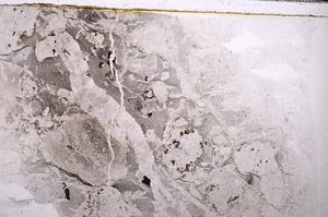 Plane Polarized, E43555/A