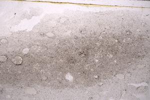 Plane Polarized, E43586