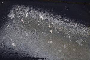 Cross Polarized, E43589