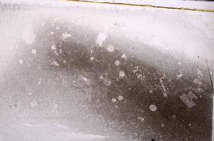 Plane Polarized, E43589