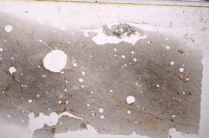 Plane Polarized, E43596