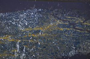 Cross Polarized, E43598