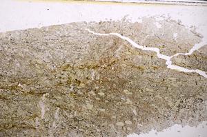 Plane Polarized, E43598