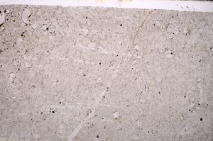 Plane Polarized, E43640