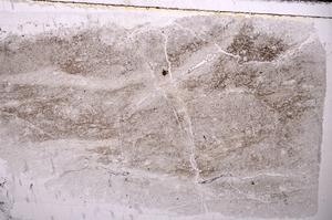 Plane Polarized, E43648