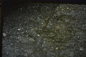 Cross Polarized, E43667