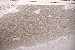 Plane Polarized, E43668