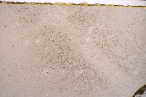 Plane Polarized, E43675