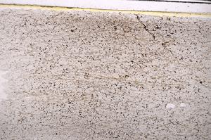 Plane Polarized, E43677