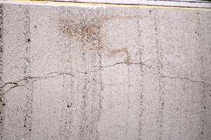 Plane Polarized, E43689